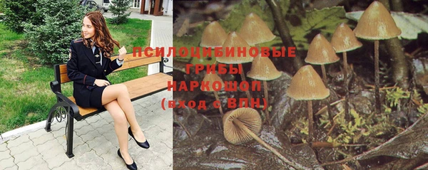 мдпв Лагань