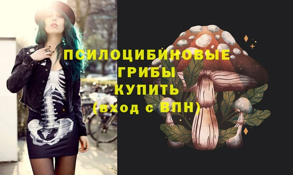 мдпв Лагань