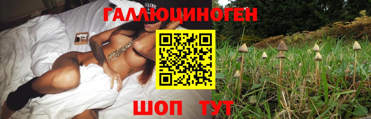 Мелеуз  Псилоцибиновые грибы мицелий  Вход с VPN  Псилоцибиновые грибы Cubensis 